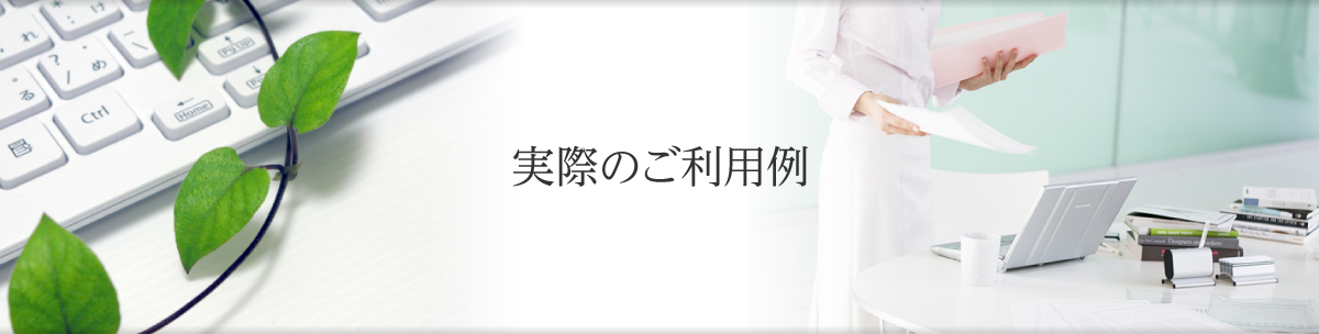 実際のご利用例